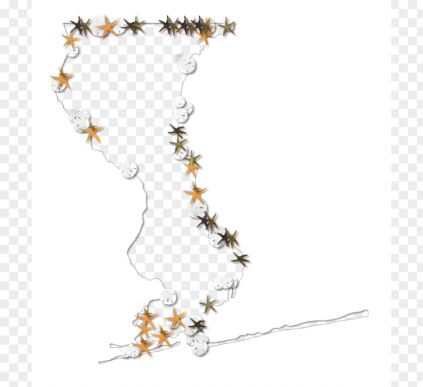 Starfish Outline Necklace Jewelry Design Body Jewellery Flower PNG
