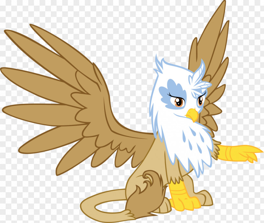 Becker Vector Rainbow Dash Fluttershy Twilight Sparkle Owl Griffin PNG