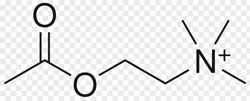 Body Structure Methyl Group Ester Butyrate Nucleophilic Acyl Substitution PNG