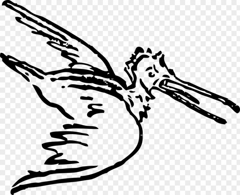 Line Art Wing Bird Coloring Book Beak PNG