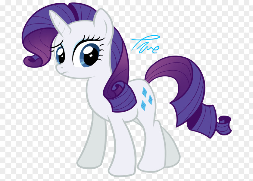 My Little Pony Rarity Rainbow Dash Twilight Sparkle Spike PNG