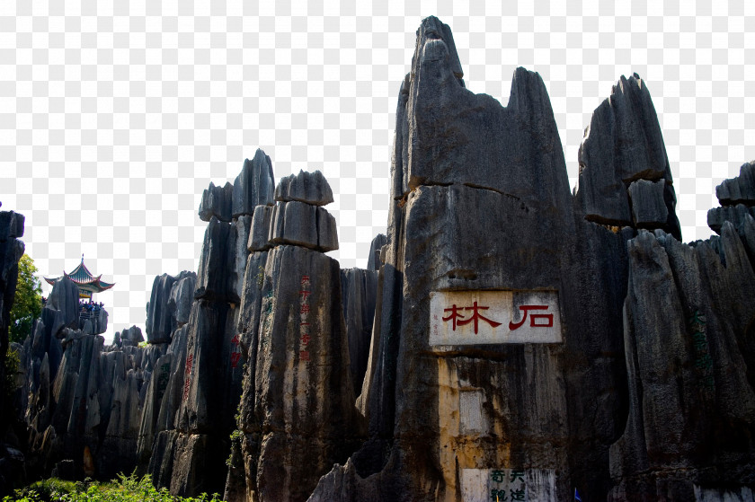 Stone Forest Shilin Yi Autonomous County Xishuangbanna Dai Prefecture Karst Limestone PNG