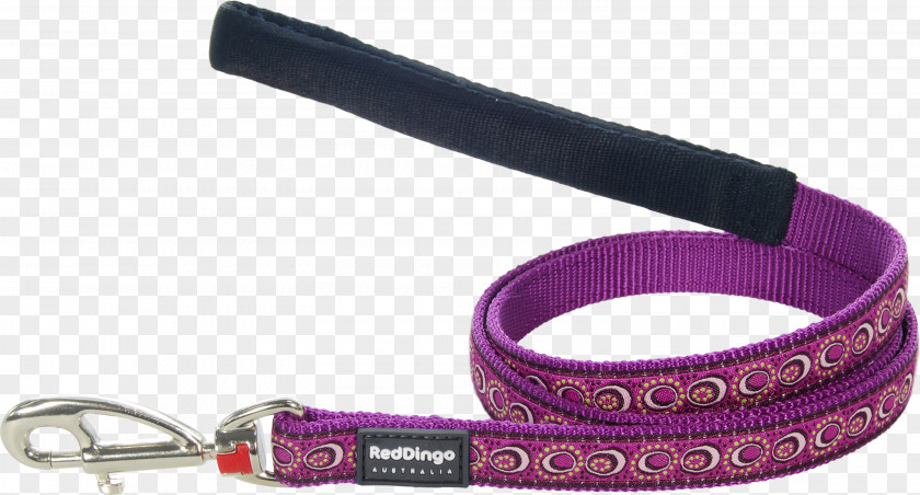 Dog Collar Dingo Leash Harness PNG