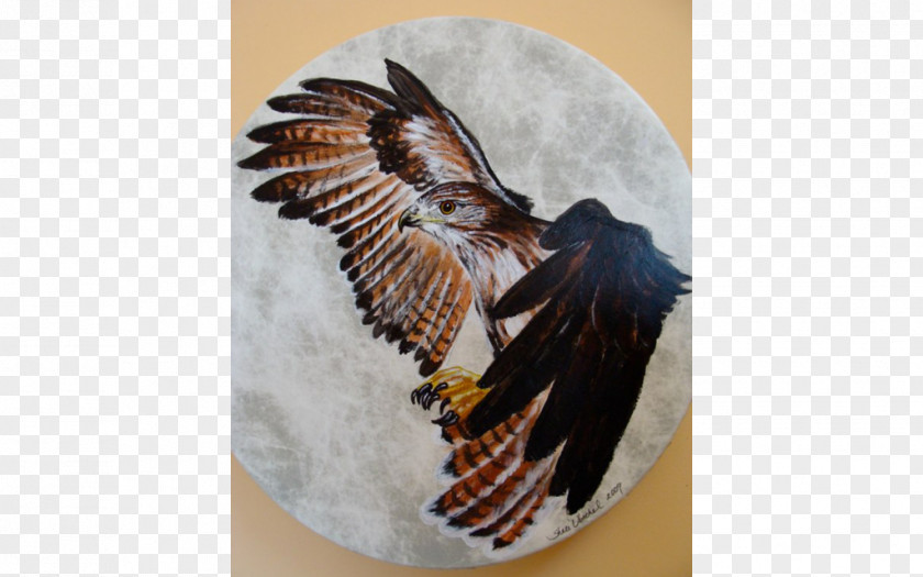 Hand Painted Earth And Spirit Gallery Taos Bird Of Prey Bald Eagle PNG