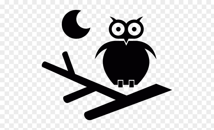 Owl Moon PNG