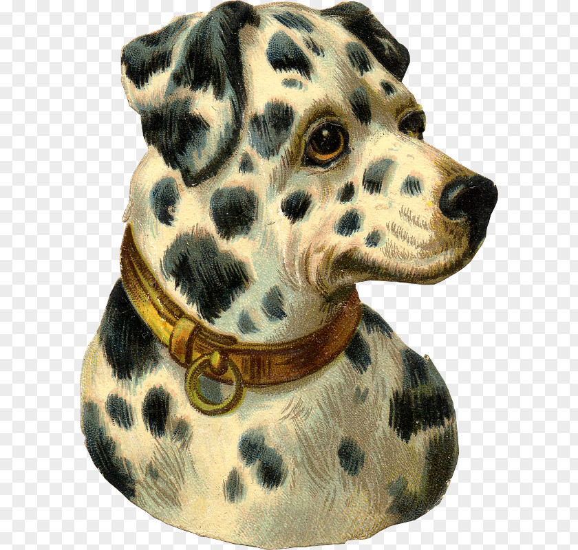 Puppy Dalmatian Dog Pug Cat PNG