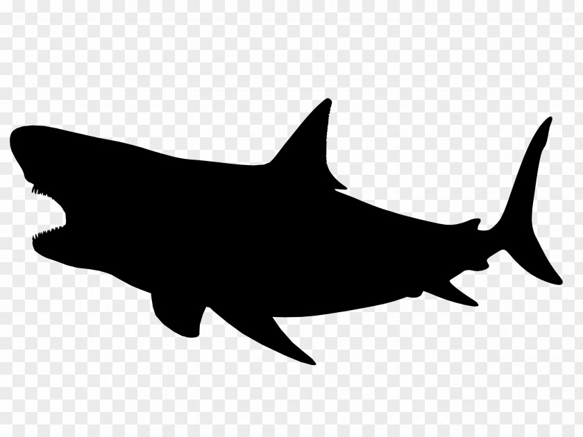 Shark Clip Art Fauna Silhouette Mammal PNG