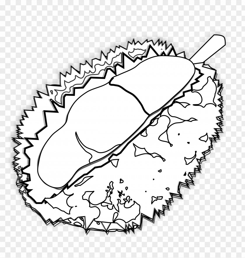 Svg Art Durian Coloring Book Drawing Clip PNG