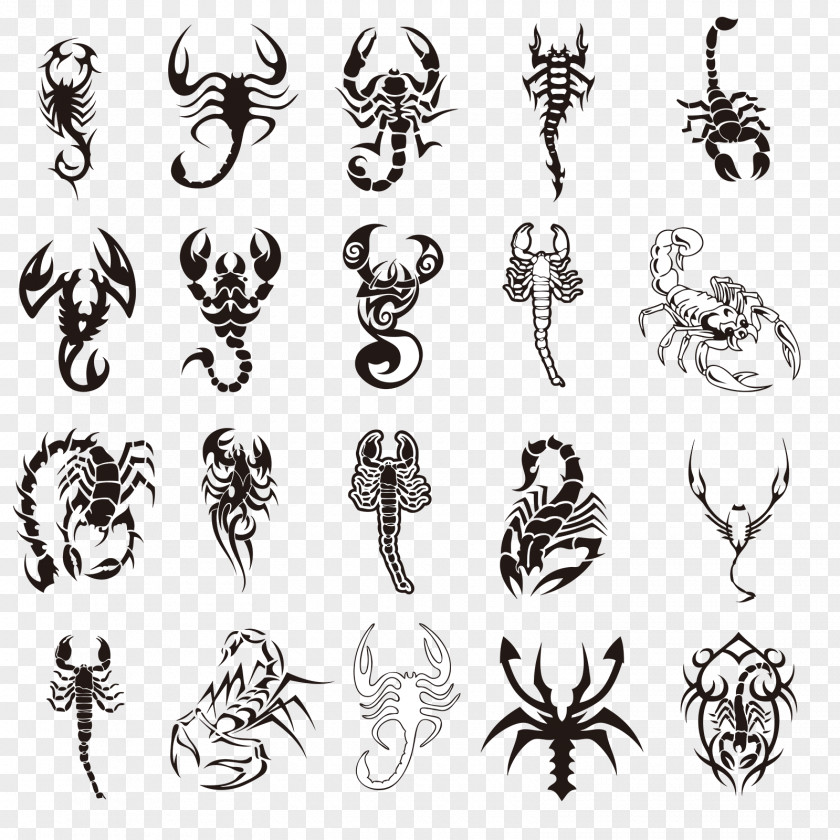 All Kinds Of Scorpions Scorpion Tattoo Zodiac Astrological Sign PNG