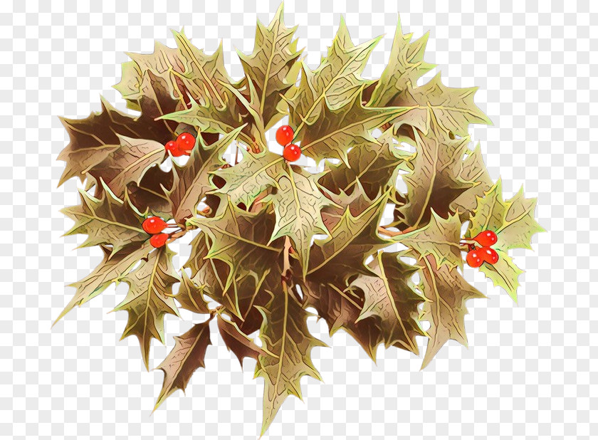 Flower Christmas Eve Ornament PNG