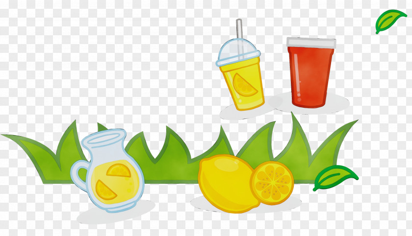 Water Bottle Nonalcoholic Beverage Drawing PNG