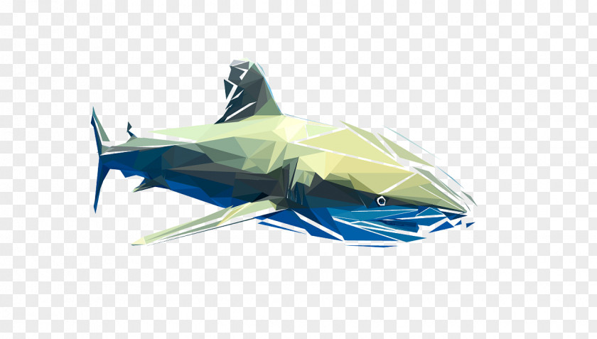 Babyshark Background Requiem Sharks Product Design Plastic PNG