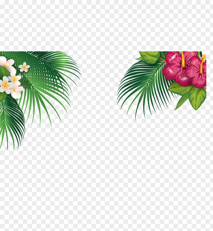 Coconut Tree Raster Graphics Computer File PNG