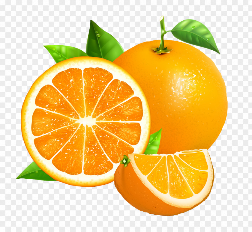 Grapefruit Orange Royalty-free Photography PNG