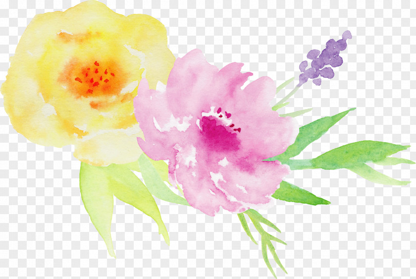Hand-painted Watercolor Roses Decorative Elements Painting Illustration PNG