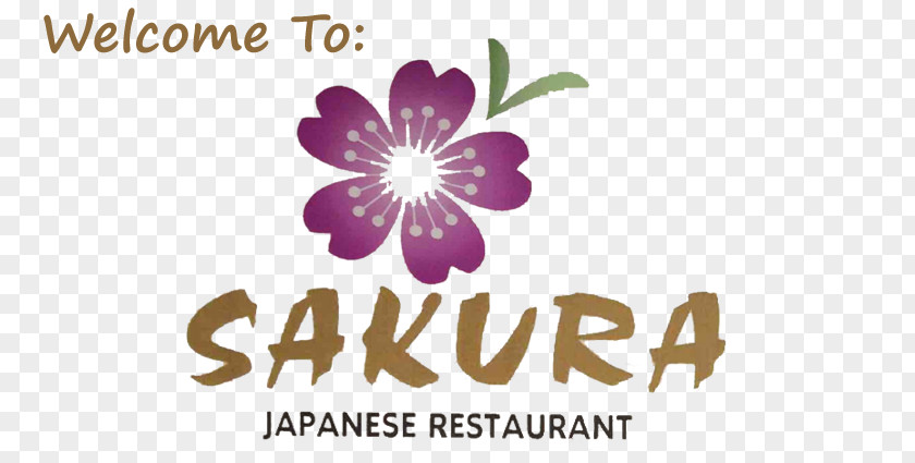 Japan Sakura Japanese Cuisine Restaurant Food Samurai PNG