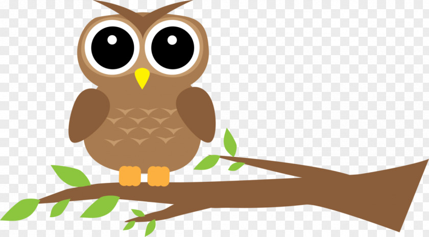 Jn Cartoon Owl WILDLIFE (M) Clip Art Food Beak PNG