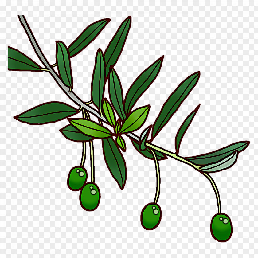Leaf Painting PNG