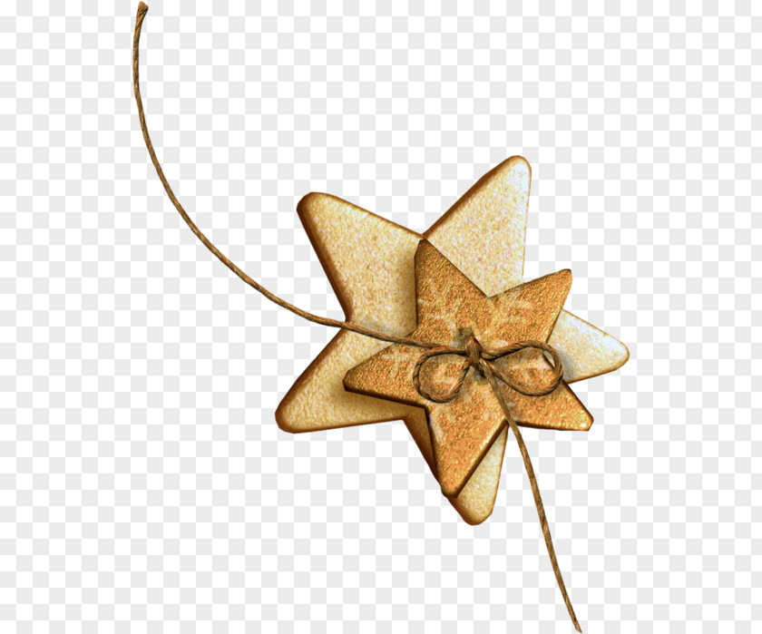 Star Christmas Ornament Photography PNG