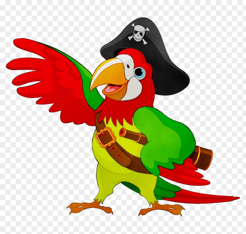 Parrots Birds Piracy Royalty-free Talking Bird PNG