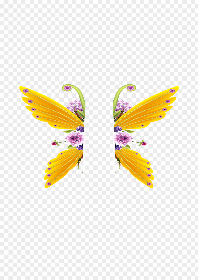 A Pair Of Wings Butterfly Download Petal PNG