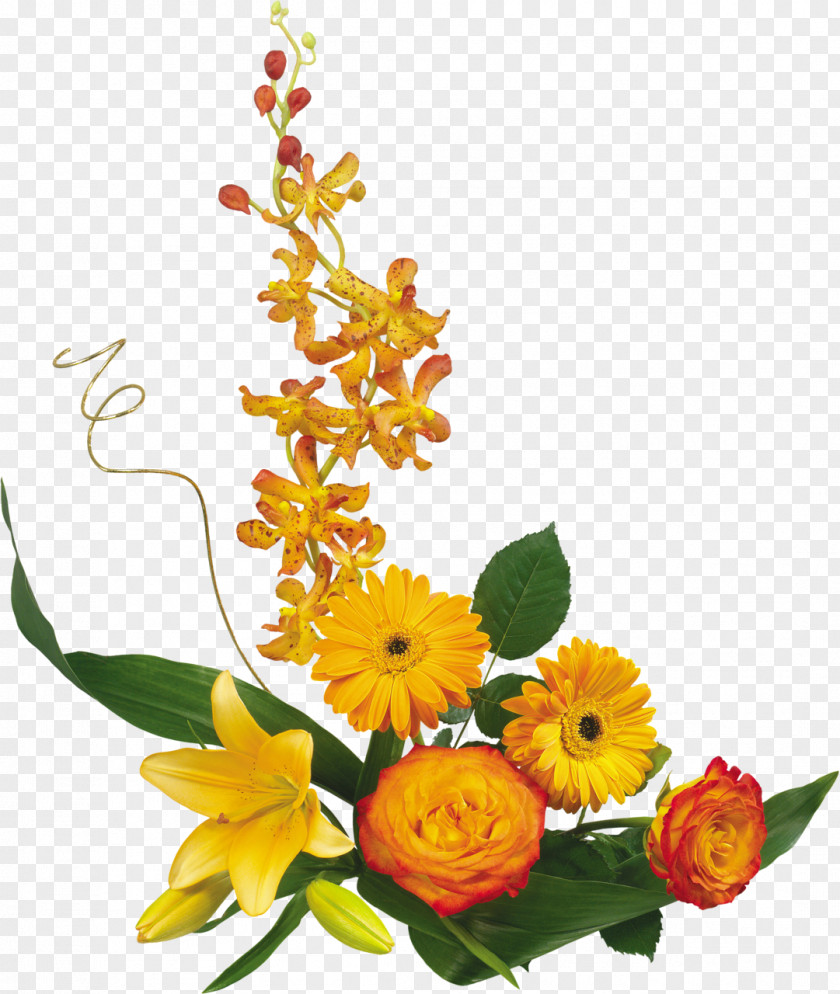 Chrysanthemum Flower Bouquet Clip Art PNG