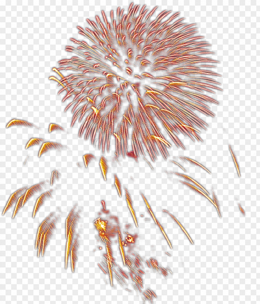 Fireworks Light Jet Bloom Drawing Gratis PNG