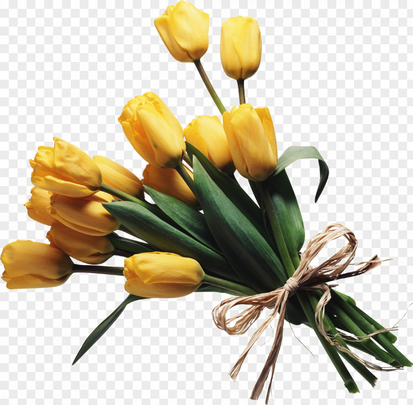 Flower Bouquet Cut Flowers Rose PNG