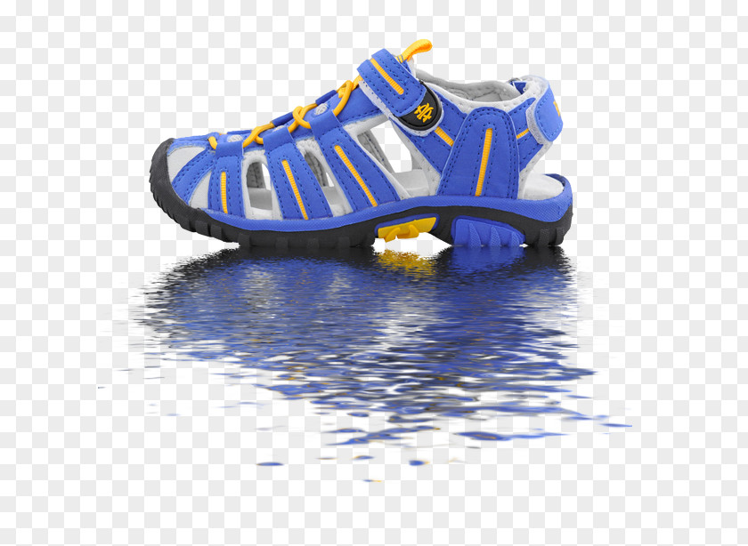 Shoes On The Water Shoe Sneakers Computer File PNG