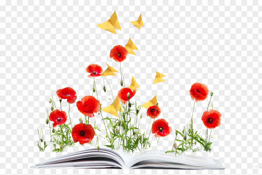 Books On The Flowers Common Poppy Opium Flower PNG