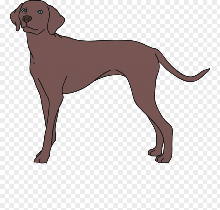 Dog Breed Italian Greyhound Redbone Coonhound Longdog Companion PNG