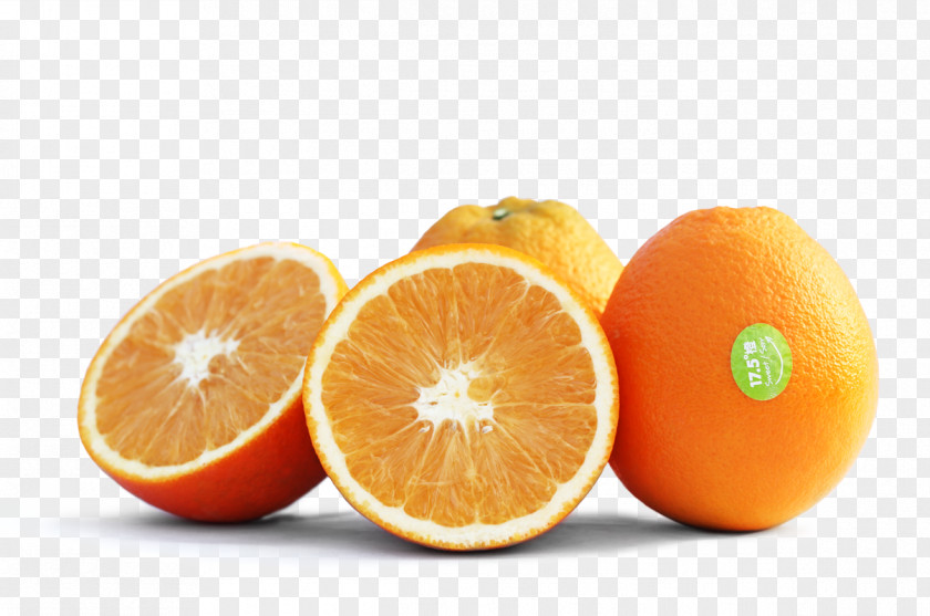 Fruit Juices Orange Juice Bitter Food PNG