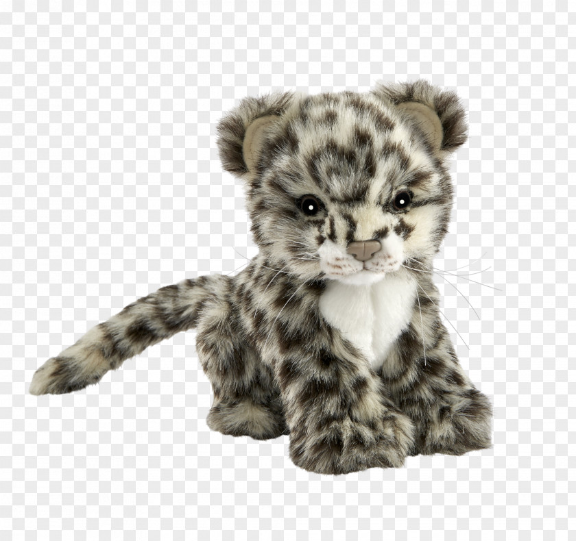 Leopard Jaguar Lion Tiger Cheetah PNG