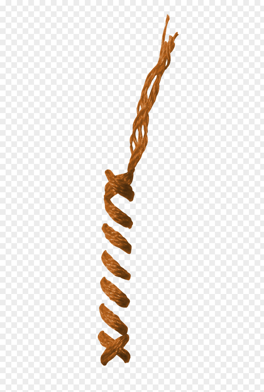 Orange Rope Material Resource PNG