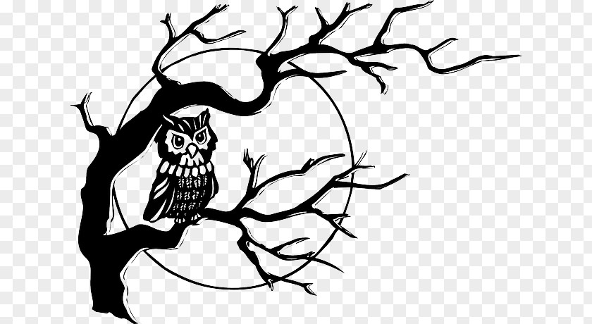 Owl Illustration Black-and-white Drawing Clip Art PNG