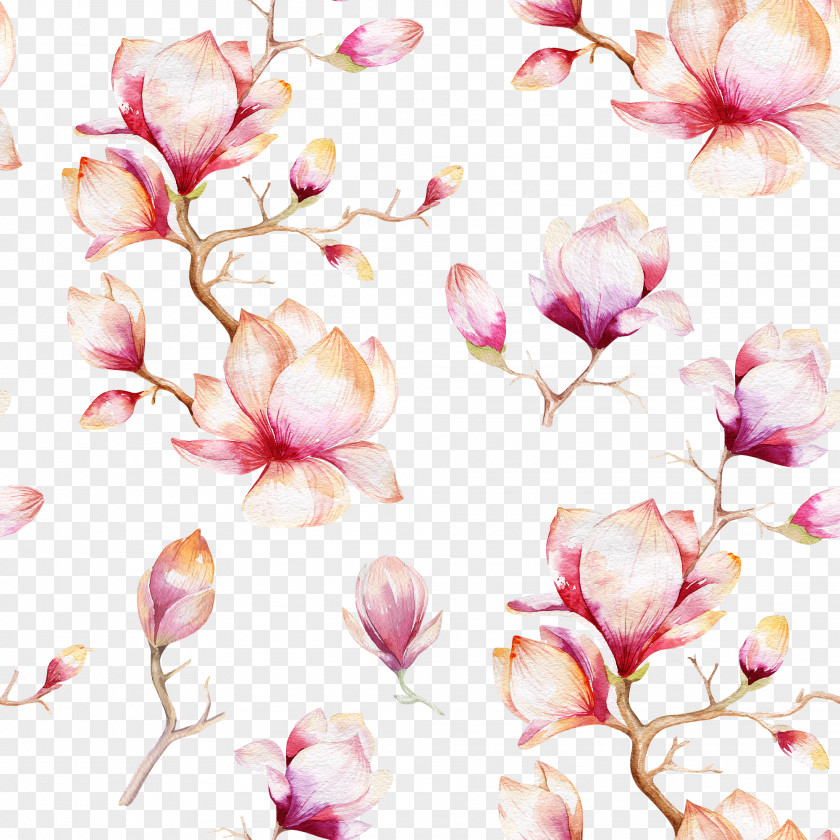 Pink Flowers Shading Southern Magnolia Watercolor Painting Royalty-free PNG