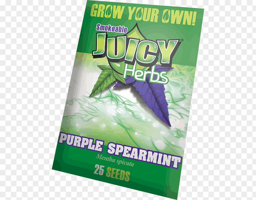 Purple Green Herb Mentha Spicata PNG