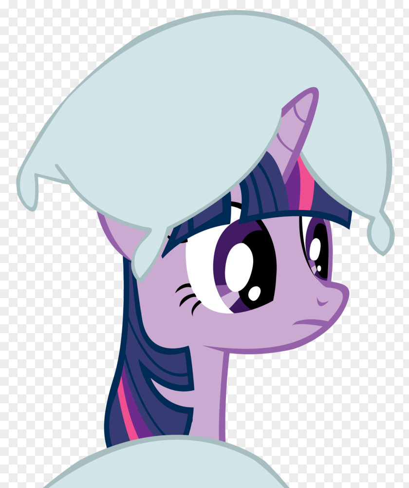 Sparkle Twilight Fluttershy Applejack Horse Pony PNG