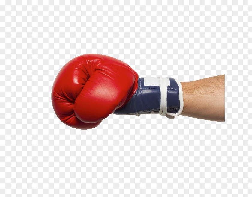 Boxing Gloves Glove Stock Photography PNG