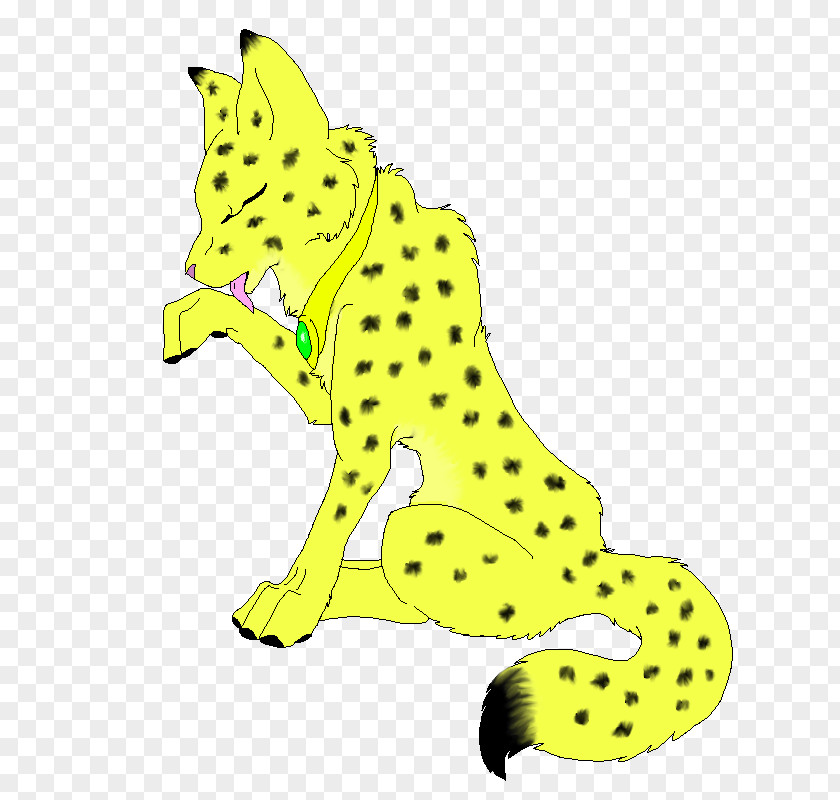 Cat Whiskers Cheetah Dog Canidae PNG