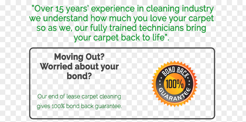 Dust Mite Carpet Cleaning Steam Flooring PNG