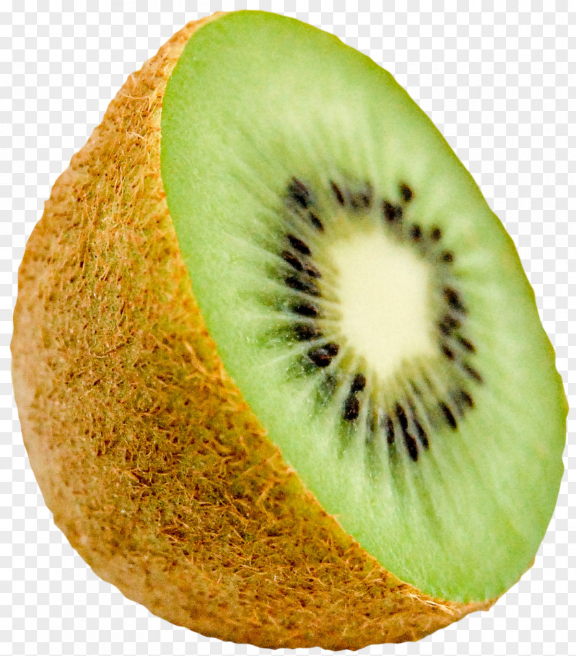 Kiwi Kiwifruit Food Eating PNG