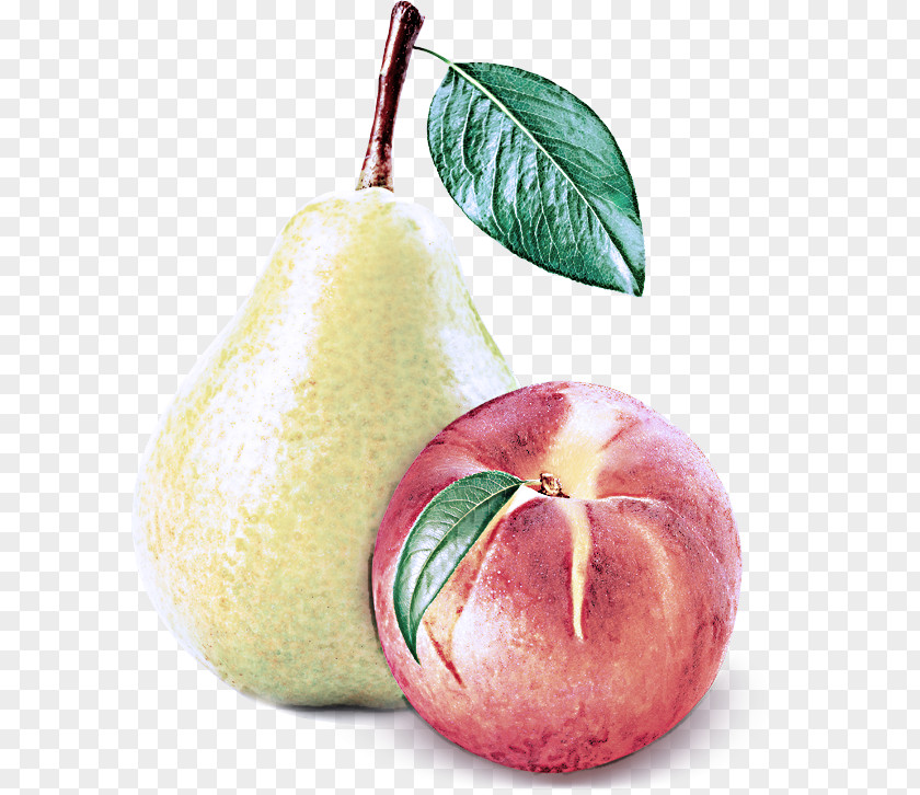 Pectin Accessory Fruit Pear Food Plant PNG