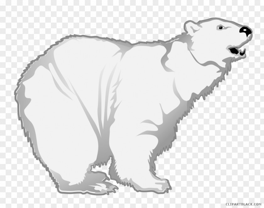 Polar Bear Regions Of Earth Brown Vertebrate PNG