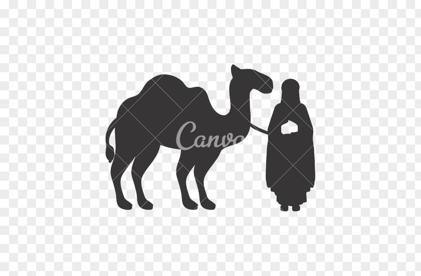 Wise Man Dromedary Drawing Silhouette PNG