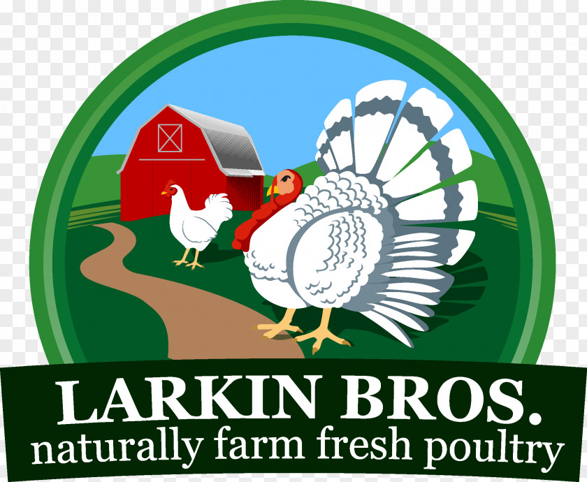 Chicken Larkin Brothers Inc. Turkey Food Farm PNG