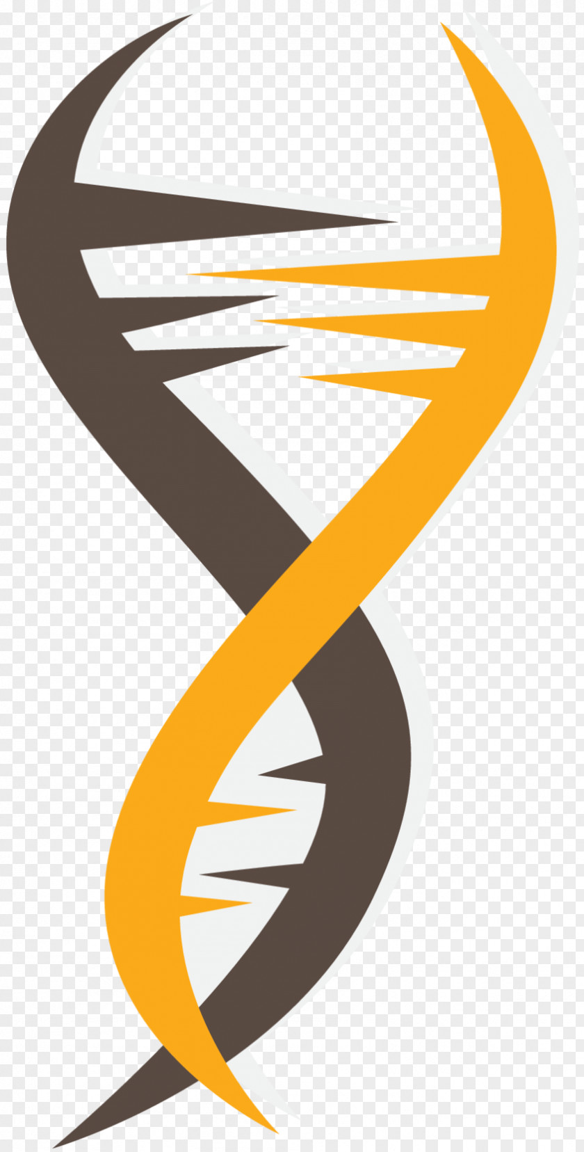 Molecular Genetics Vector Graphics Clip Art PNG