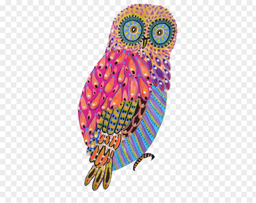 Owl Desktop Wallpaper PNG