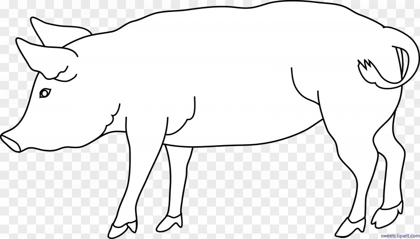 Pig Clip Art Domestic Black And White Image PNG
