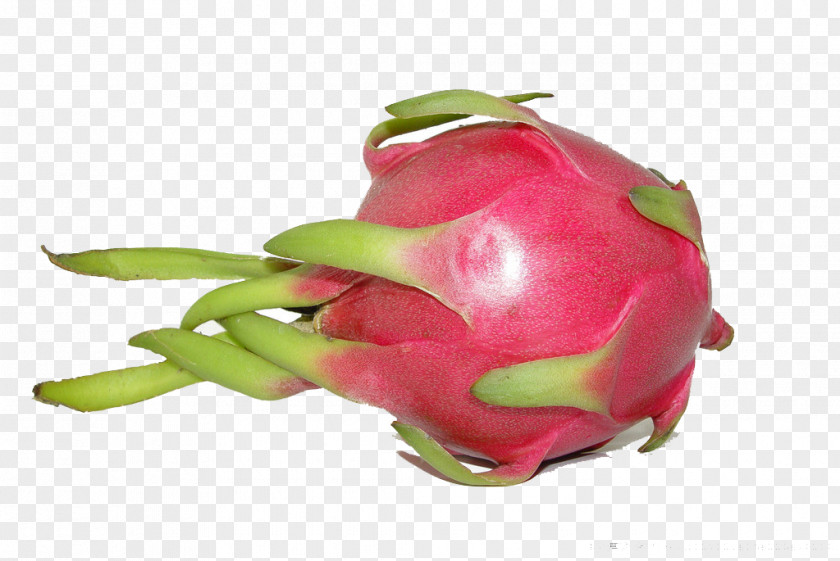 Sweet Dragon Fruit Pitaya Auglis Food PNG